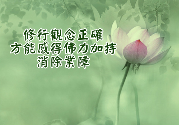 https://renching.org/images/02-Teaching-corpus/02-01-fojing/029-amituofo/029_03/pic-c1_amituo-48-da-yuan-toronto2013_03_01.jpg