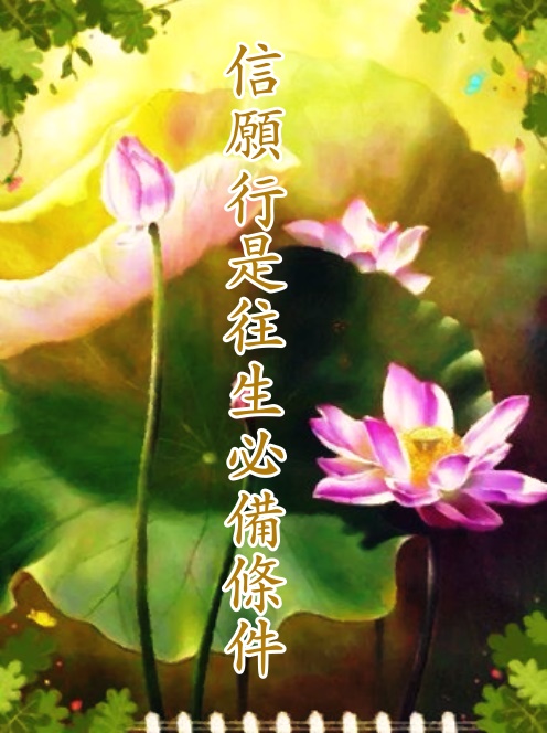 https://renching.org/images/02-Teaching-corpus/02-01-fojing/029-amituofo/029_04/pic-c1_amituo-48-da-yuan-toronto2013_04_01.jpg